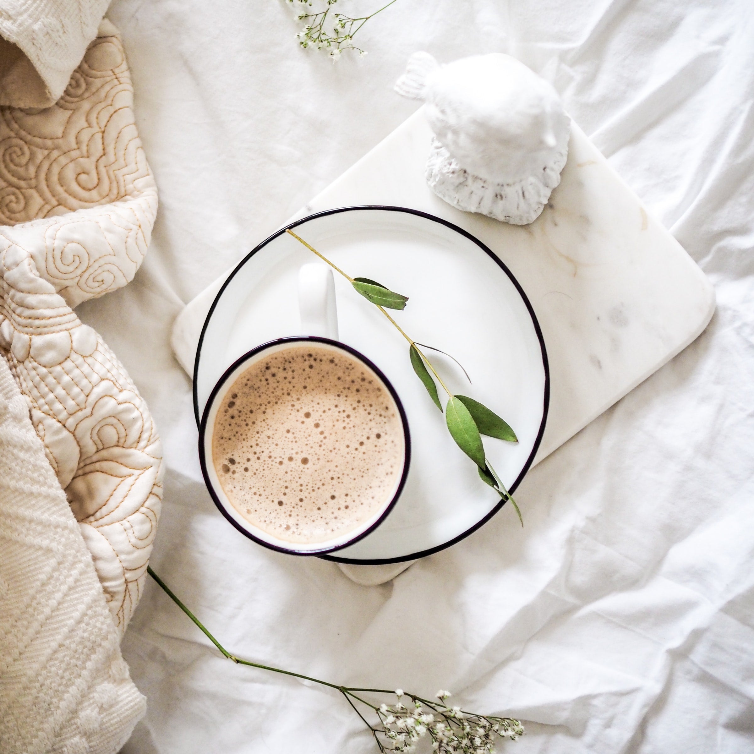 Taheebo “NAD+ Boosting” Tea Recipe