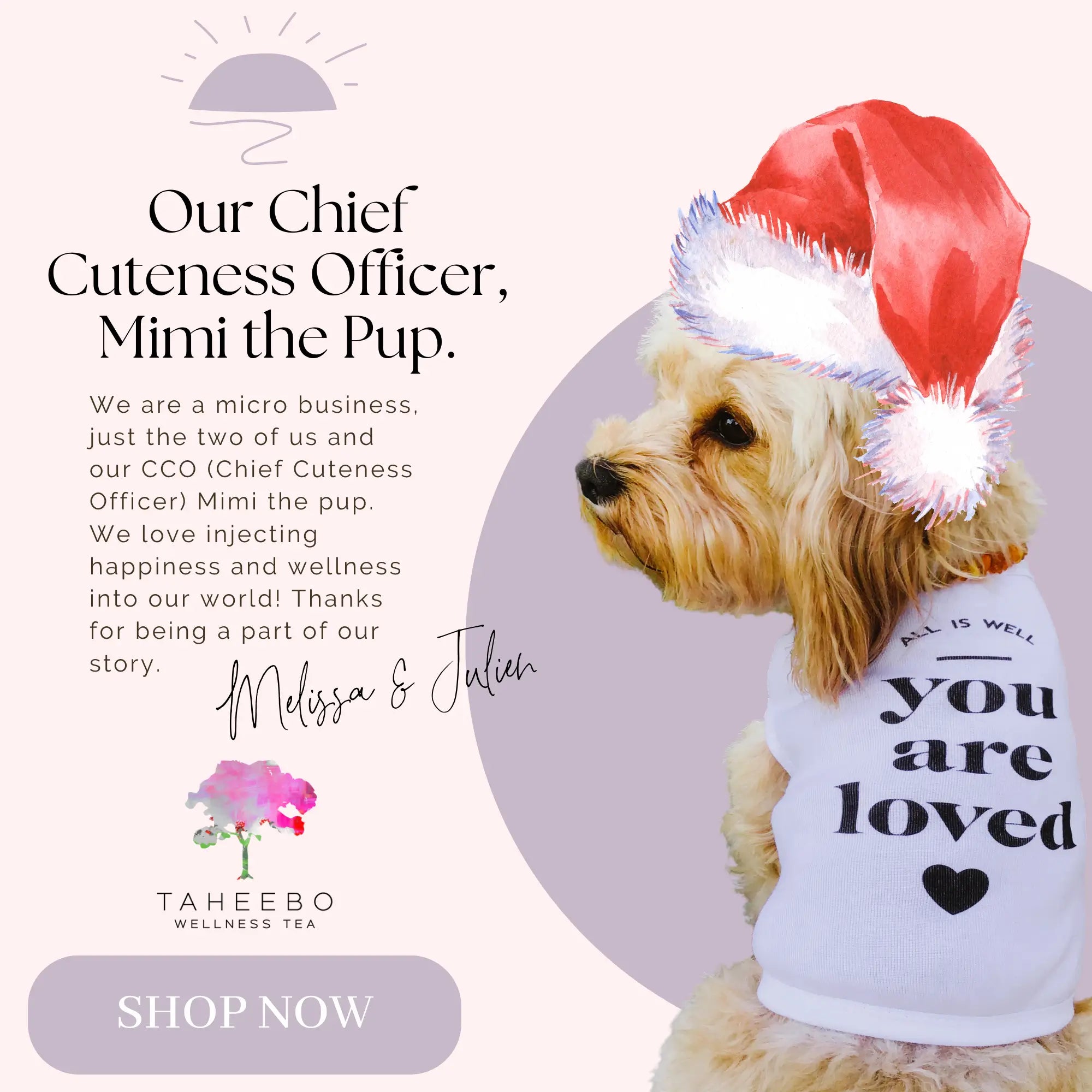 Meet our CCO Chief Cuteness officer