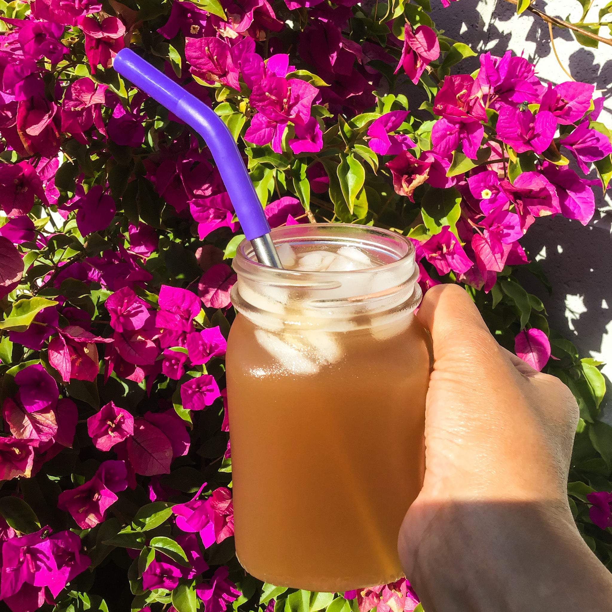 Taheebo Wellness Tea On The Rocks