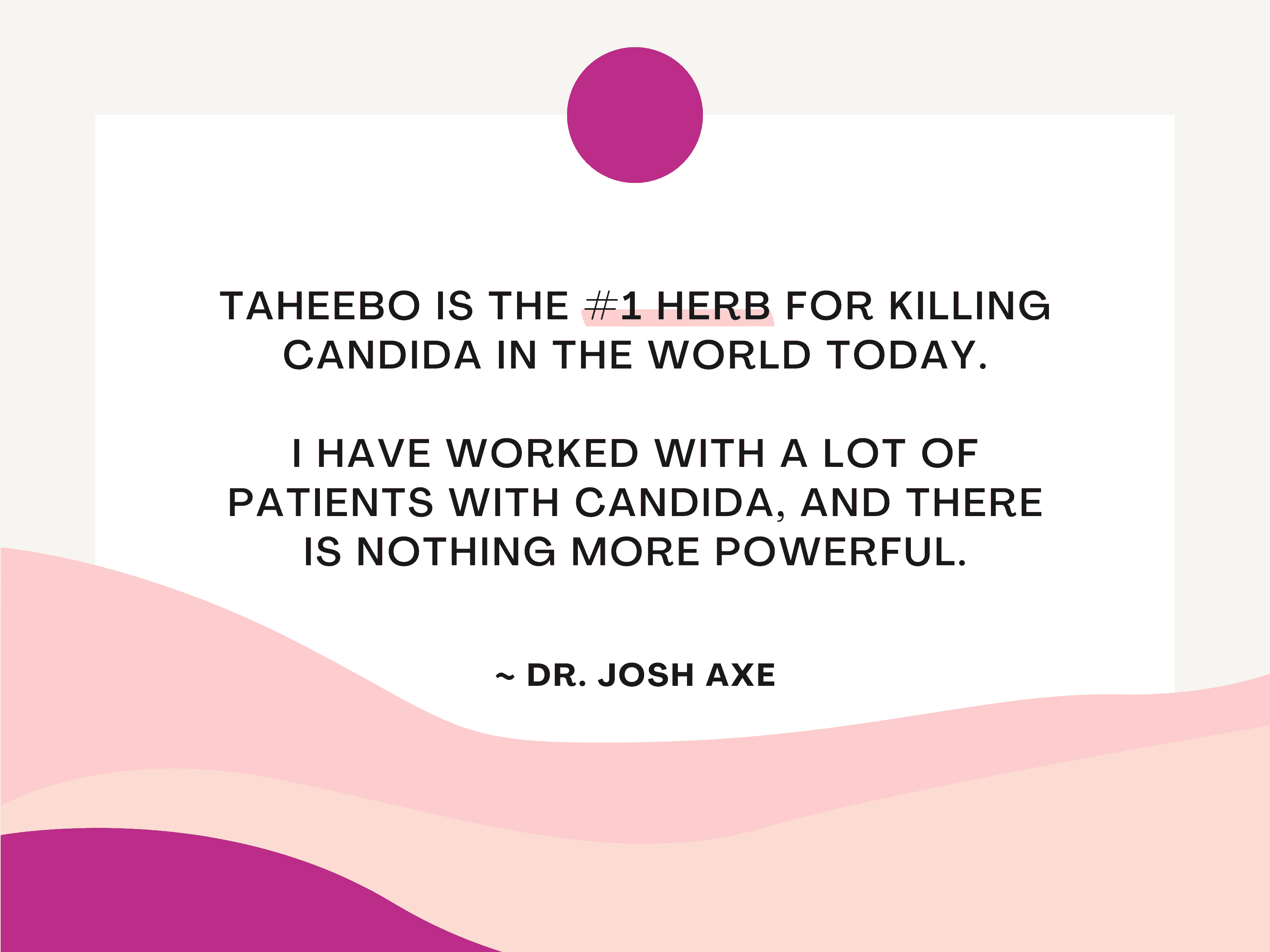 Taheebo is the #1 herb for killing candida in the world today. Dr Axe