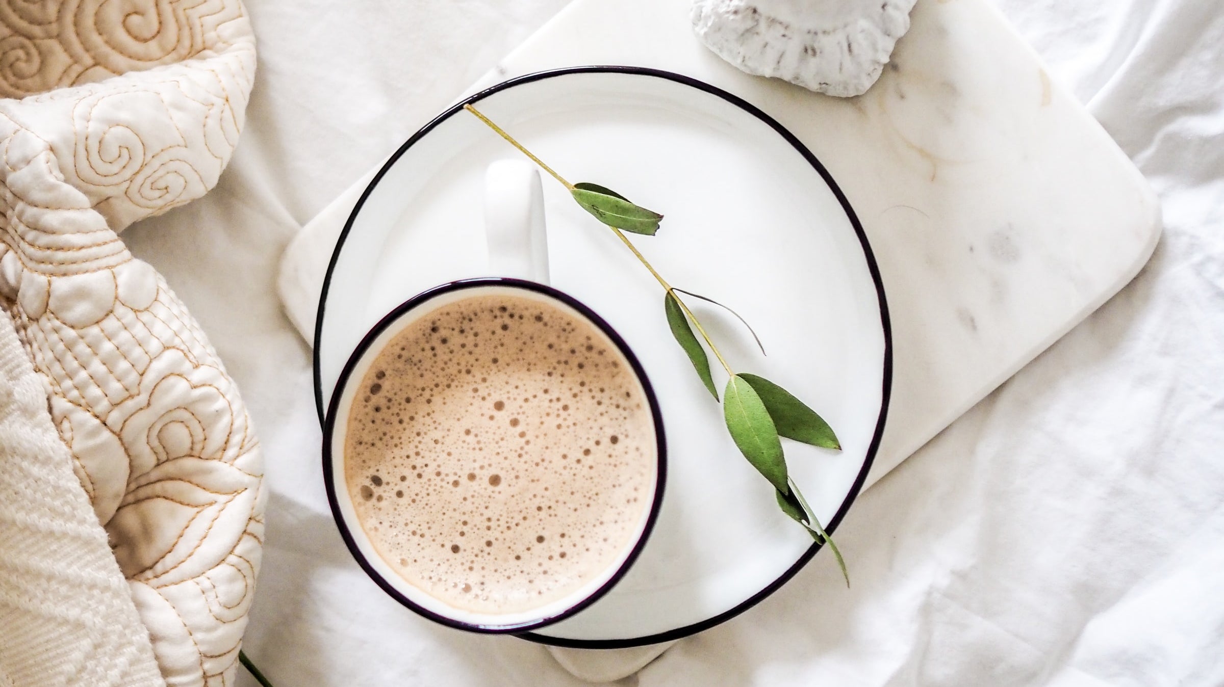 Taheebo “NAD+ Boosting” Tea Recipe