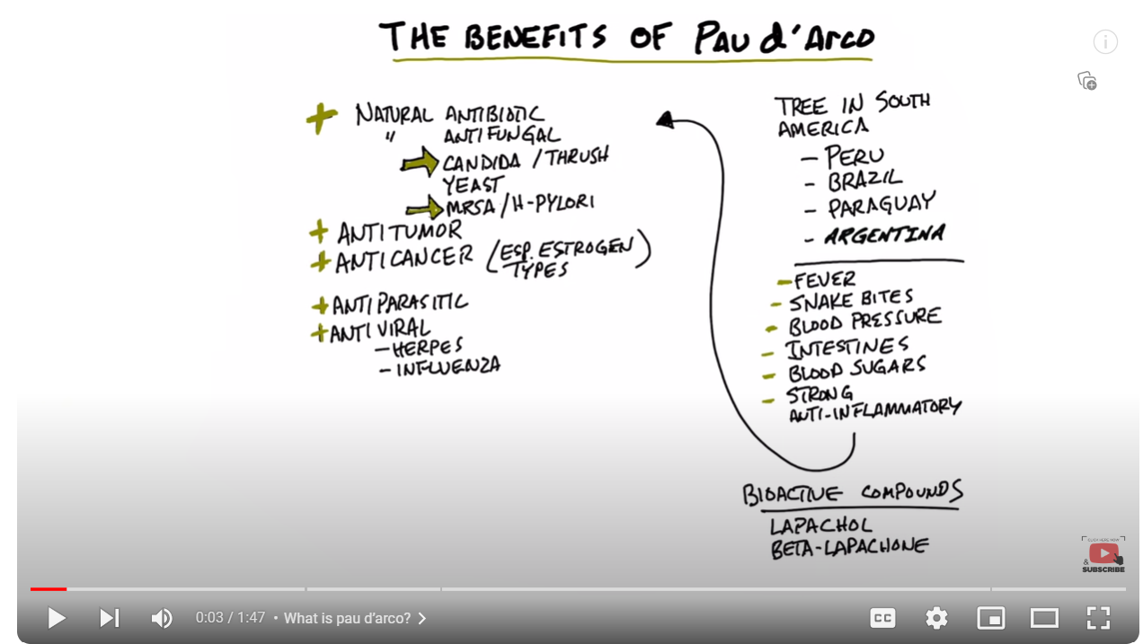 Dr Berg explains the benefits of Pau d'Arco