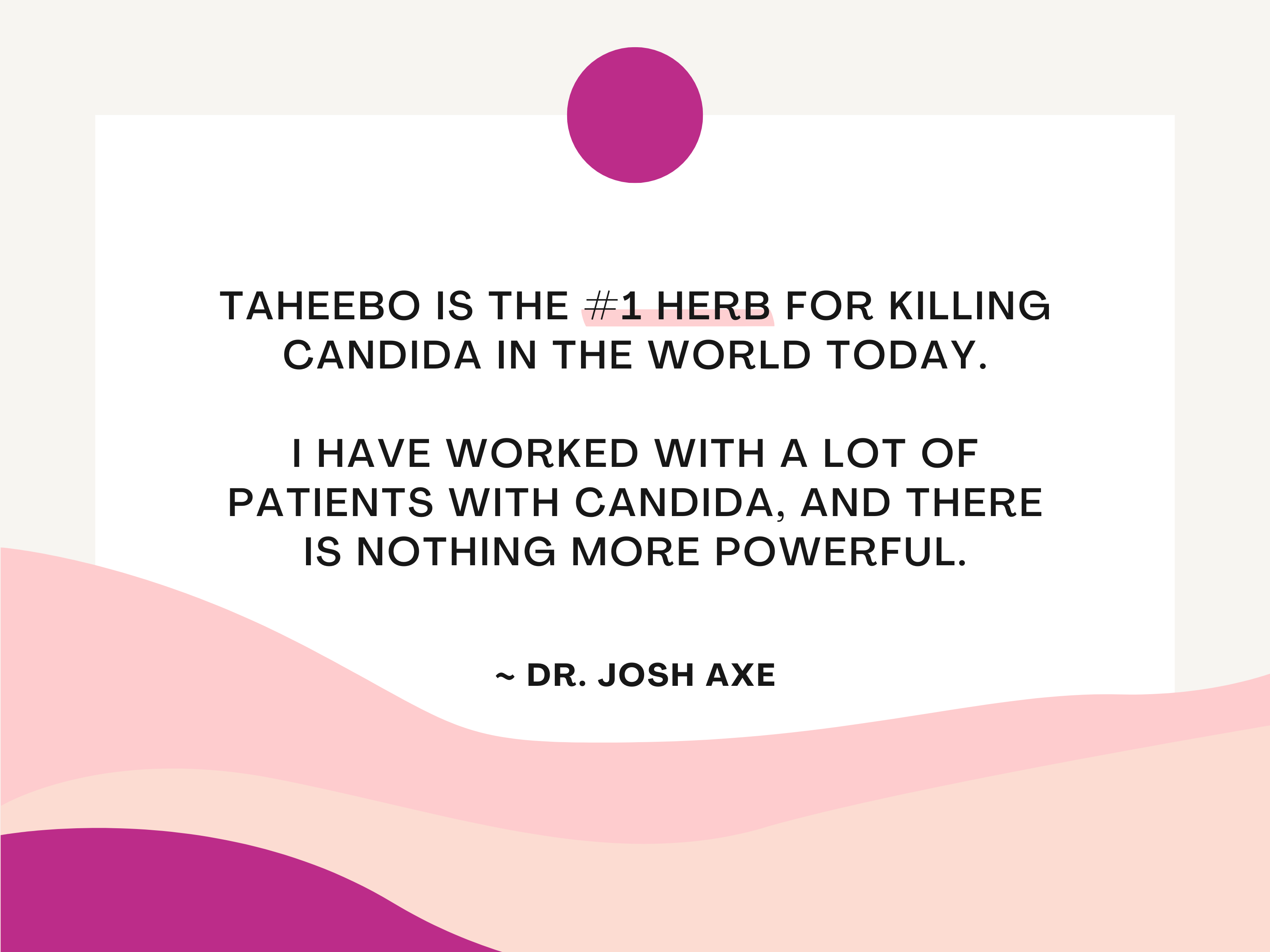 Taheebo is the #1 herb for killing candida in the world today. Dr Axe