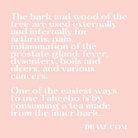 The bark and wood of the tree are used internally for arthritis, pain, inflammation of the prostate gland, fever and various cancers.